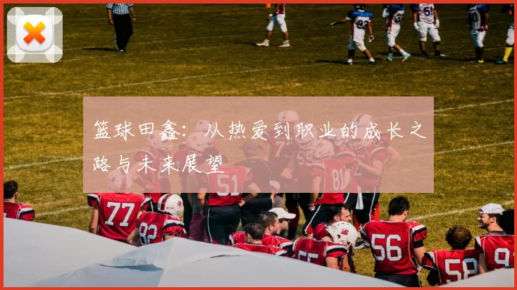 篮球田鑫：从热爱到职业的成长之路与未来展望