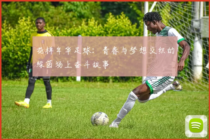花样年华足球：青春与梦想交织的绿茵场上奋斗故事