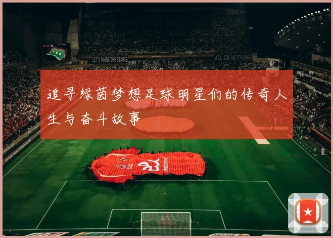 追寻绿茵梦想足球明星们的传奇人生与奋斗故事