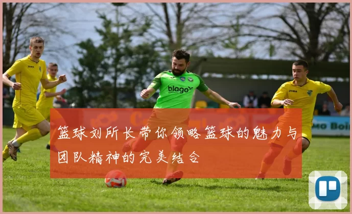 篮球刘所长带你领略篮球的魅力与团队精神的完美结合